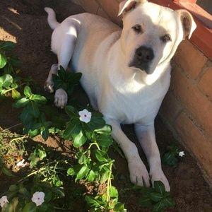 Meet your Posher, Caitlin